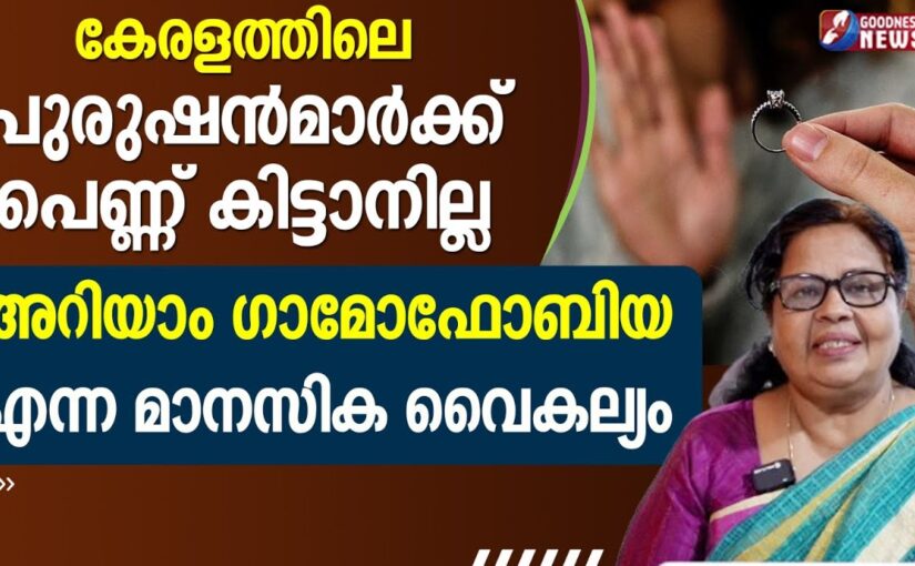 കേരളത്തിലെ പുരുഷൻമാർക്ക് പെണ്ണ് കിട്ടാനില്ല|GAMOPHOBIA|EPI 40|MONEY|SAMBATHINTE SUVISHESHAM|GOODNESS